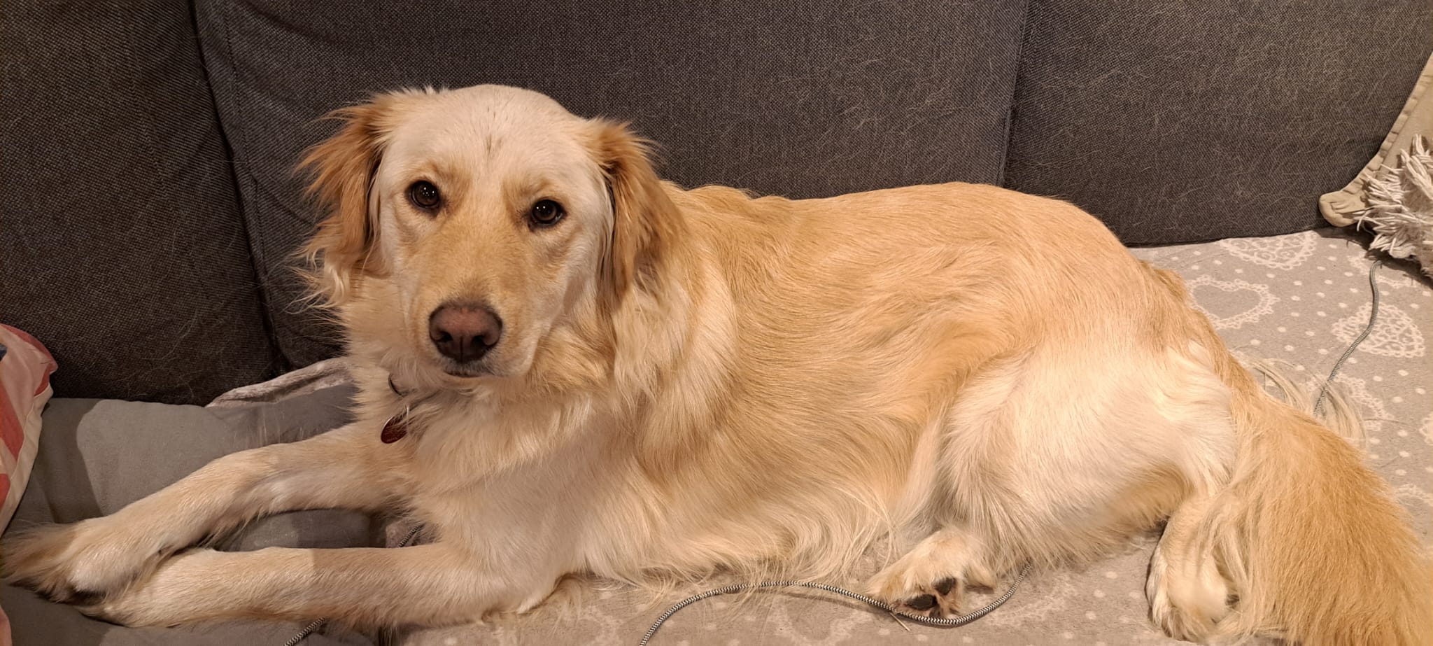 Ella