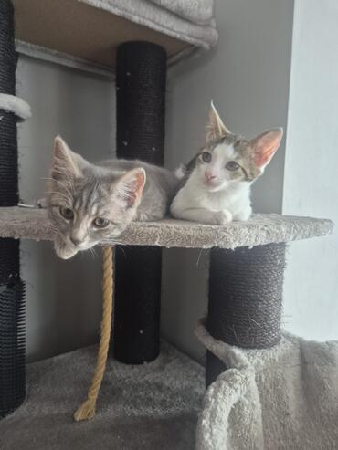 Yuki und Lilly