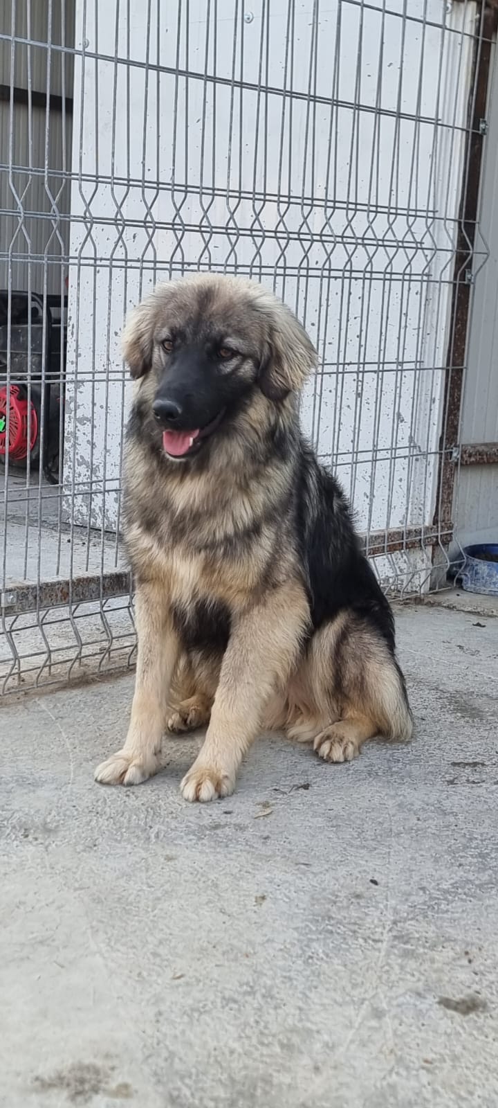 Mathi 🐾