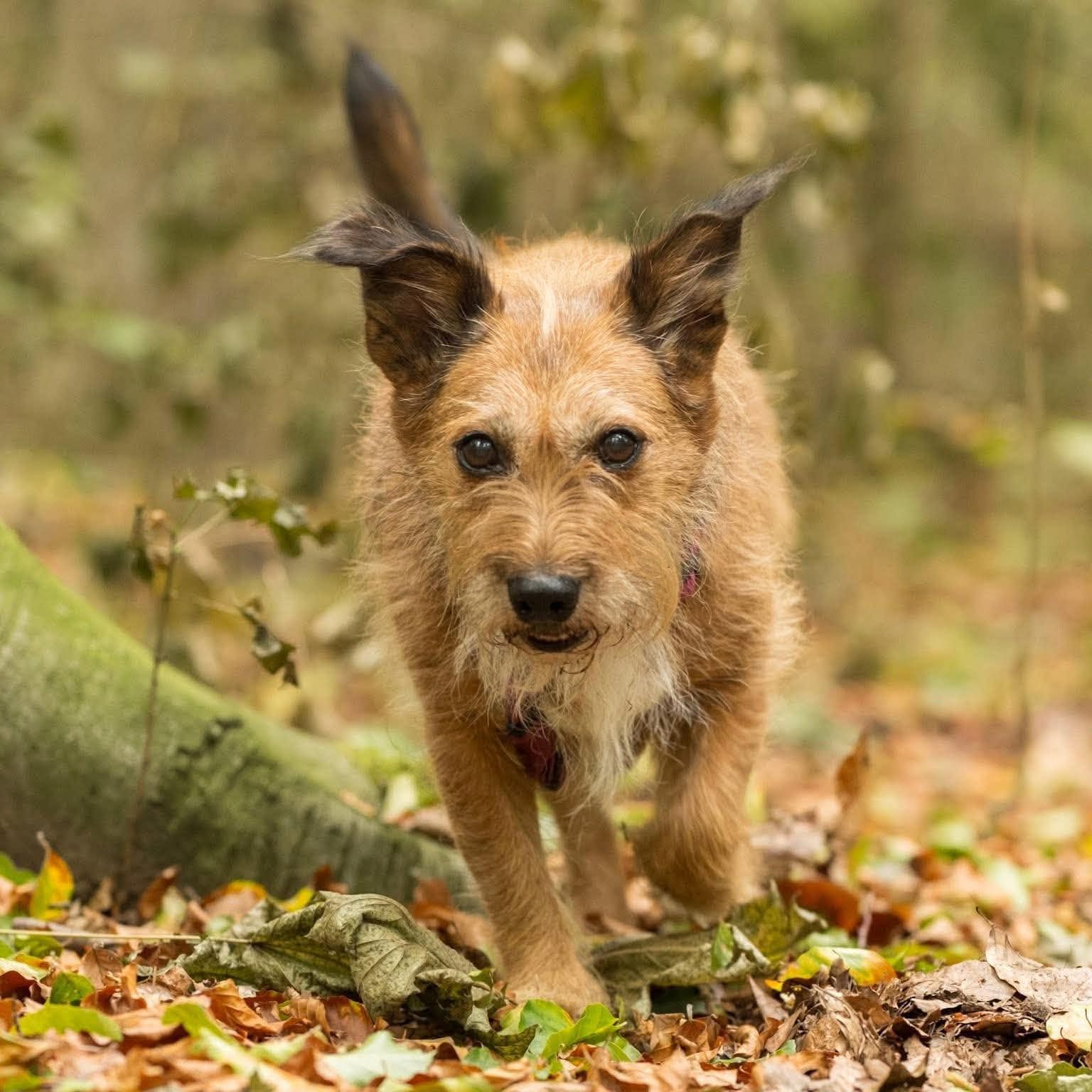 Julie🐾wartet in 47445