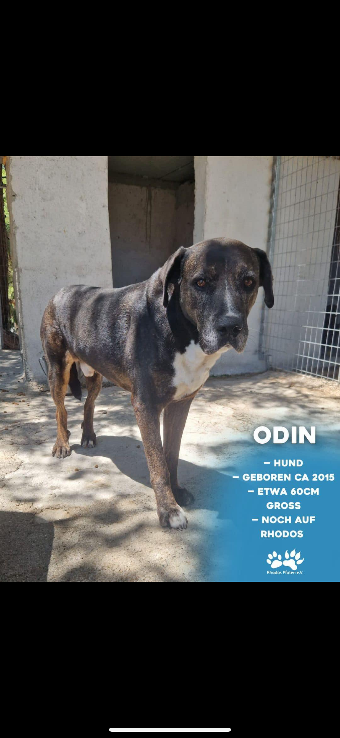 Odin