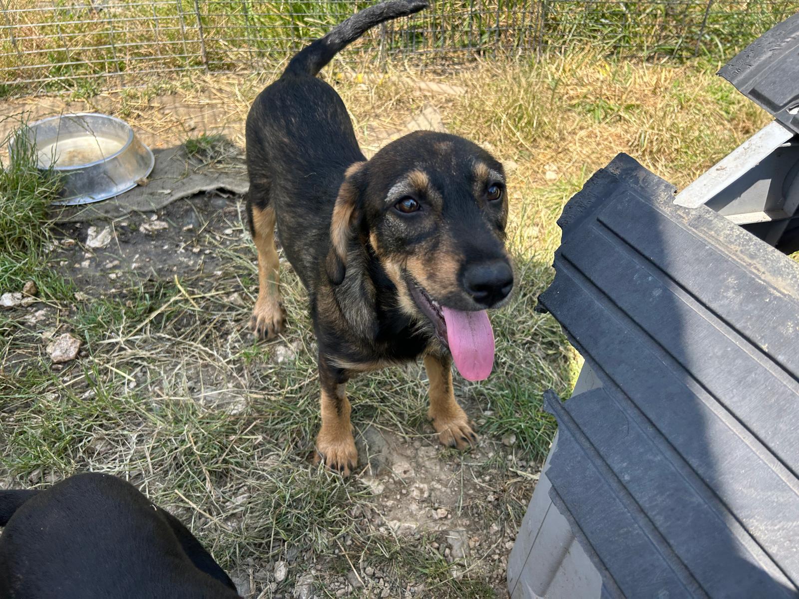 Leni