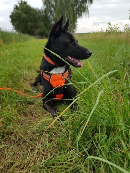 Baldur