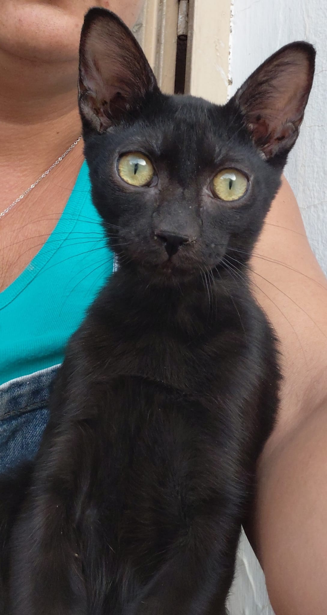 Salem