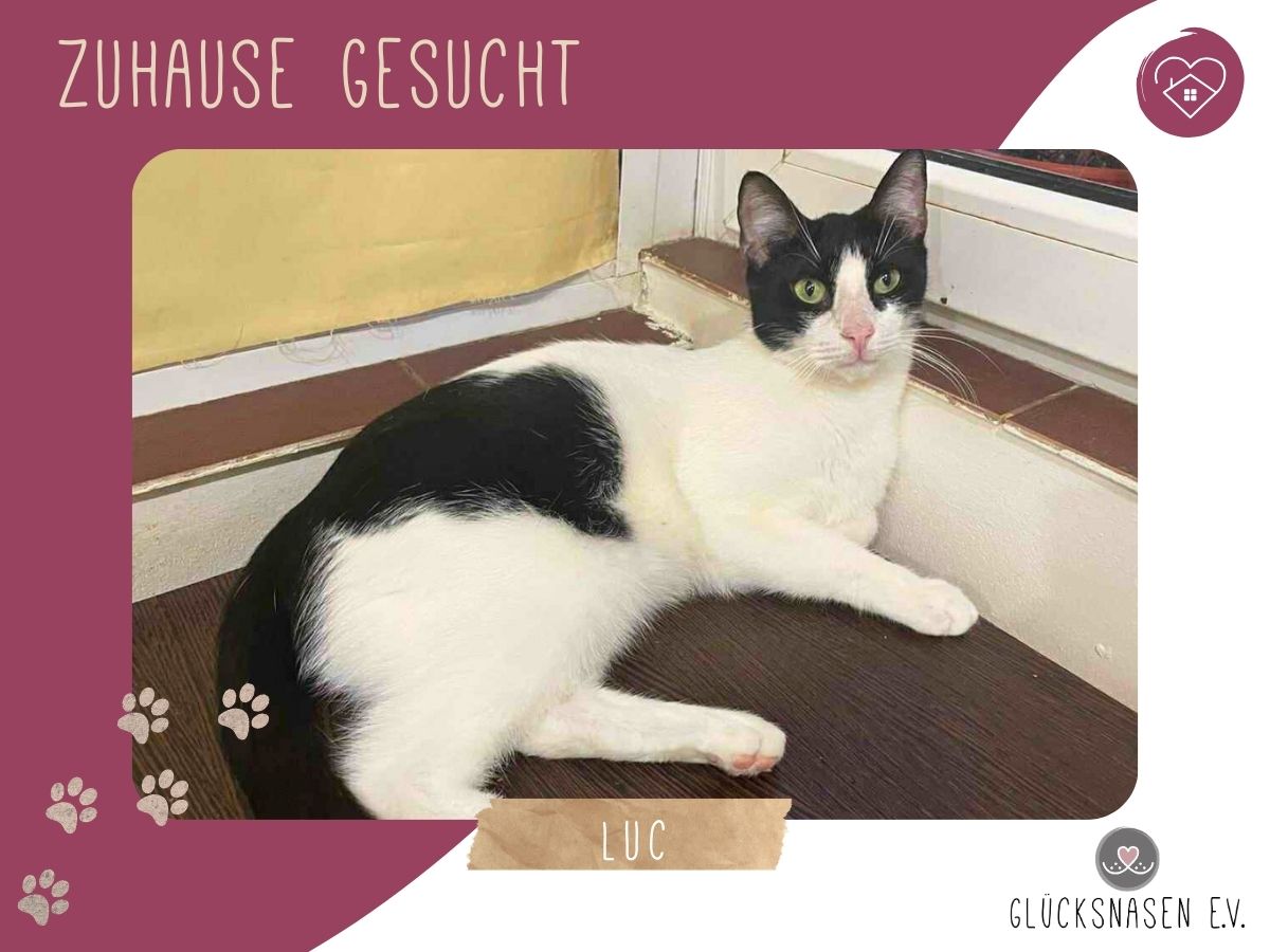 Luc hofft auf sein Glück