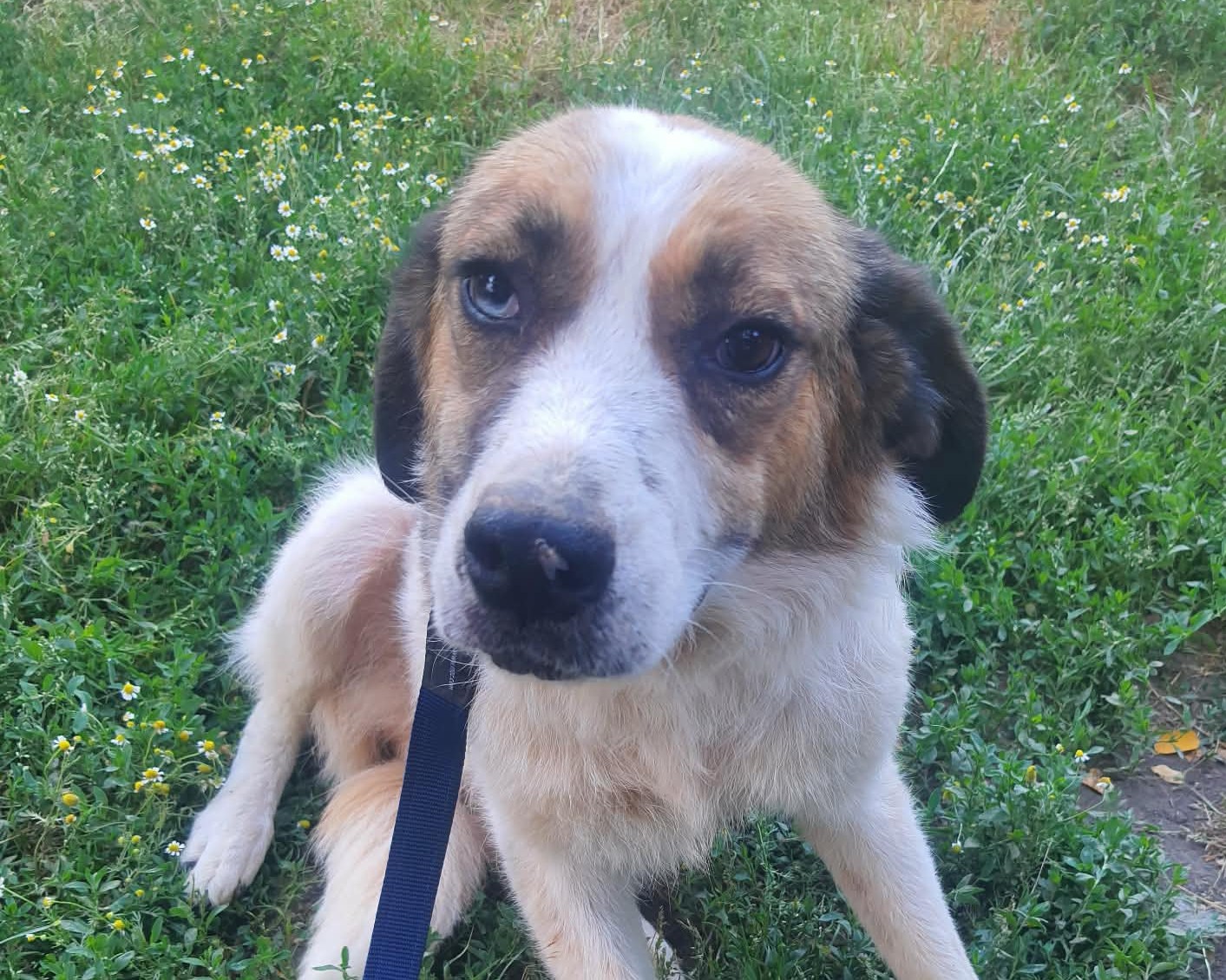 Jemma💕möchte eine Chance