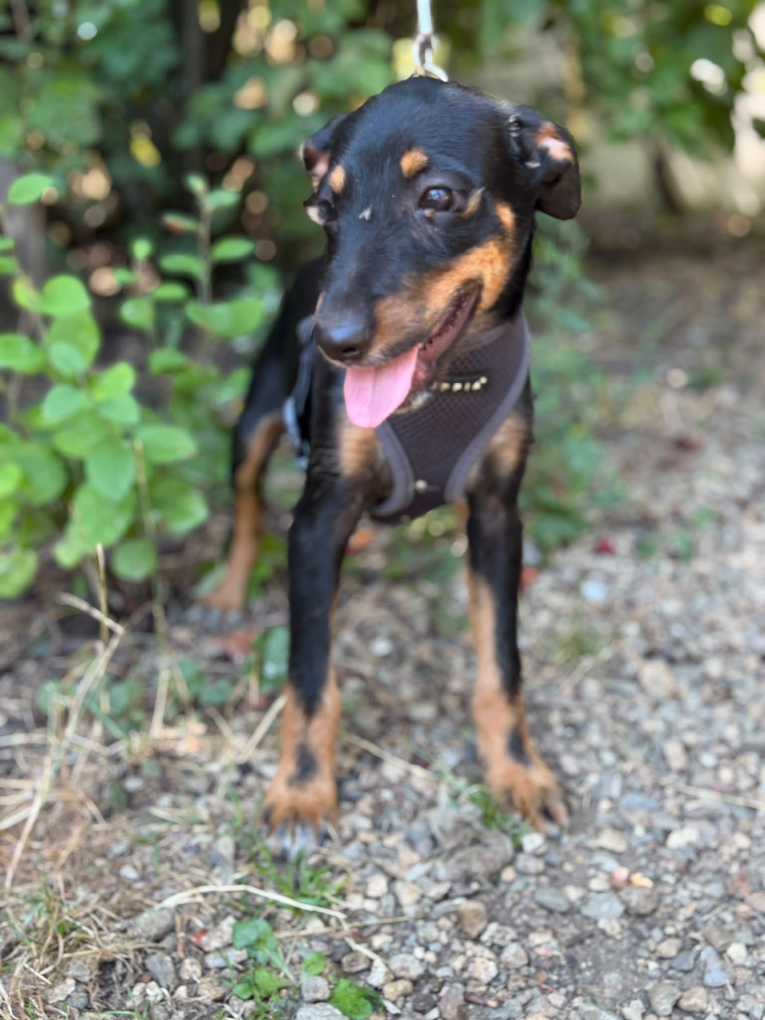 Kenai