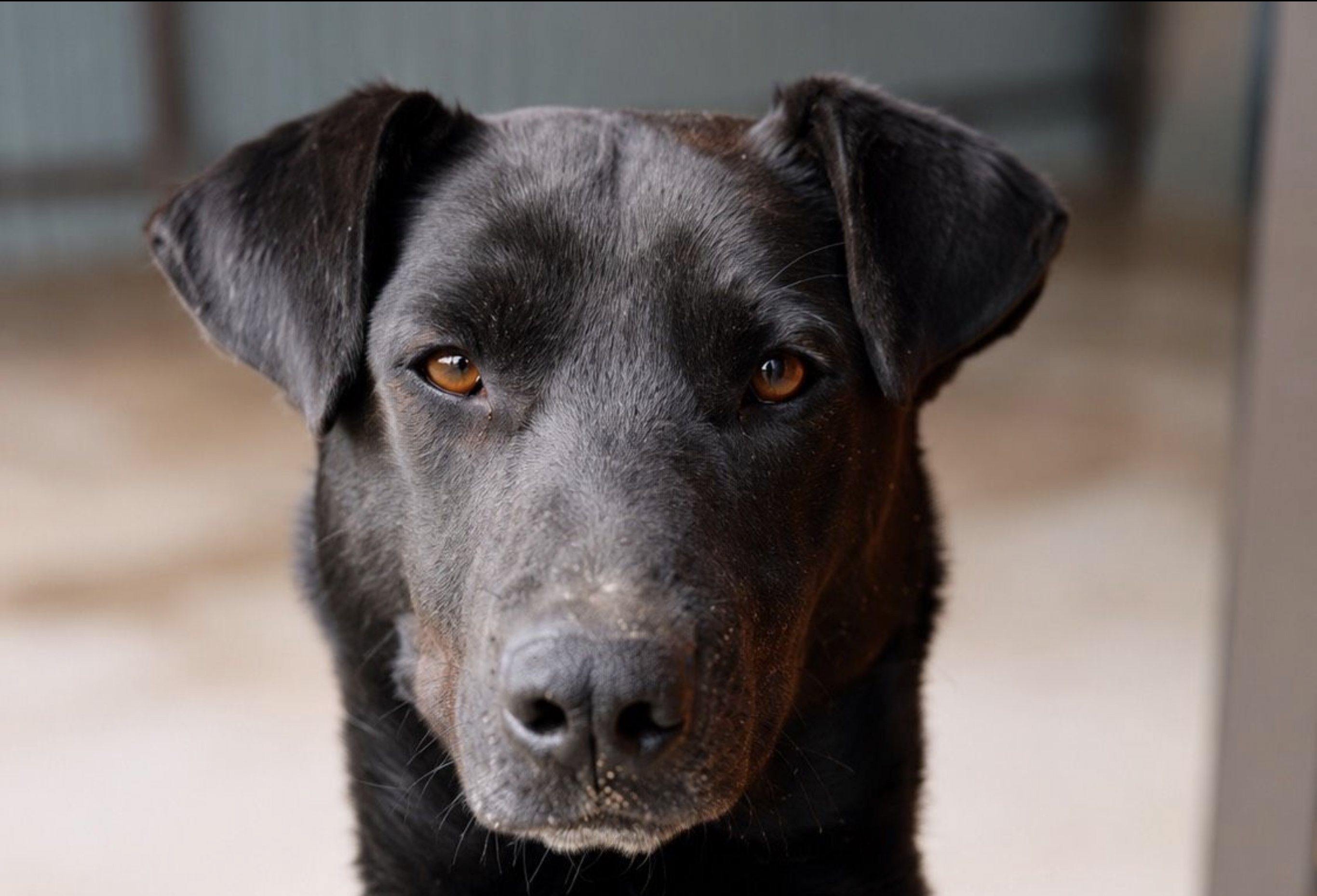Ben