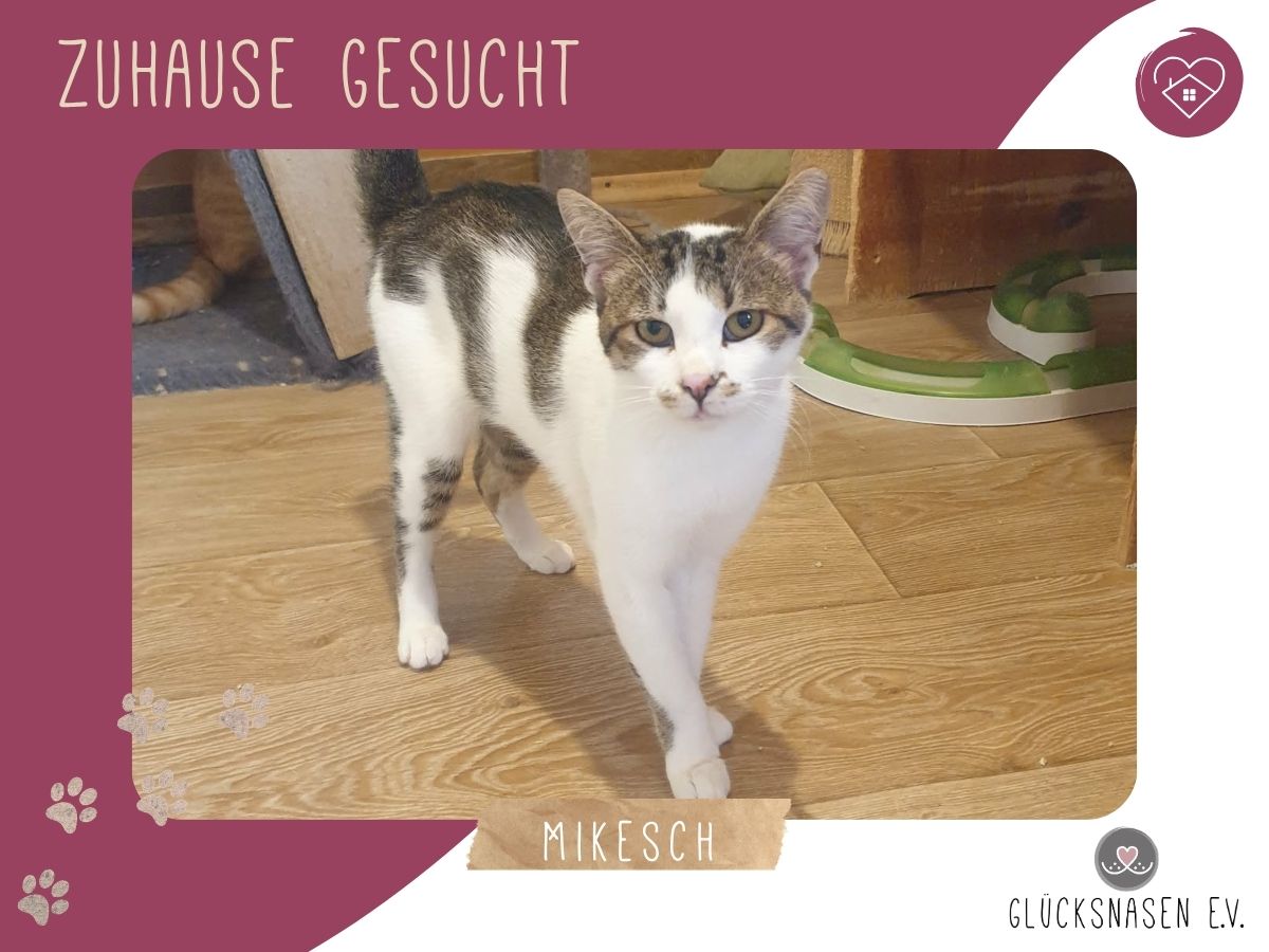 Mikesch möchte so gern reisen