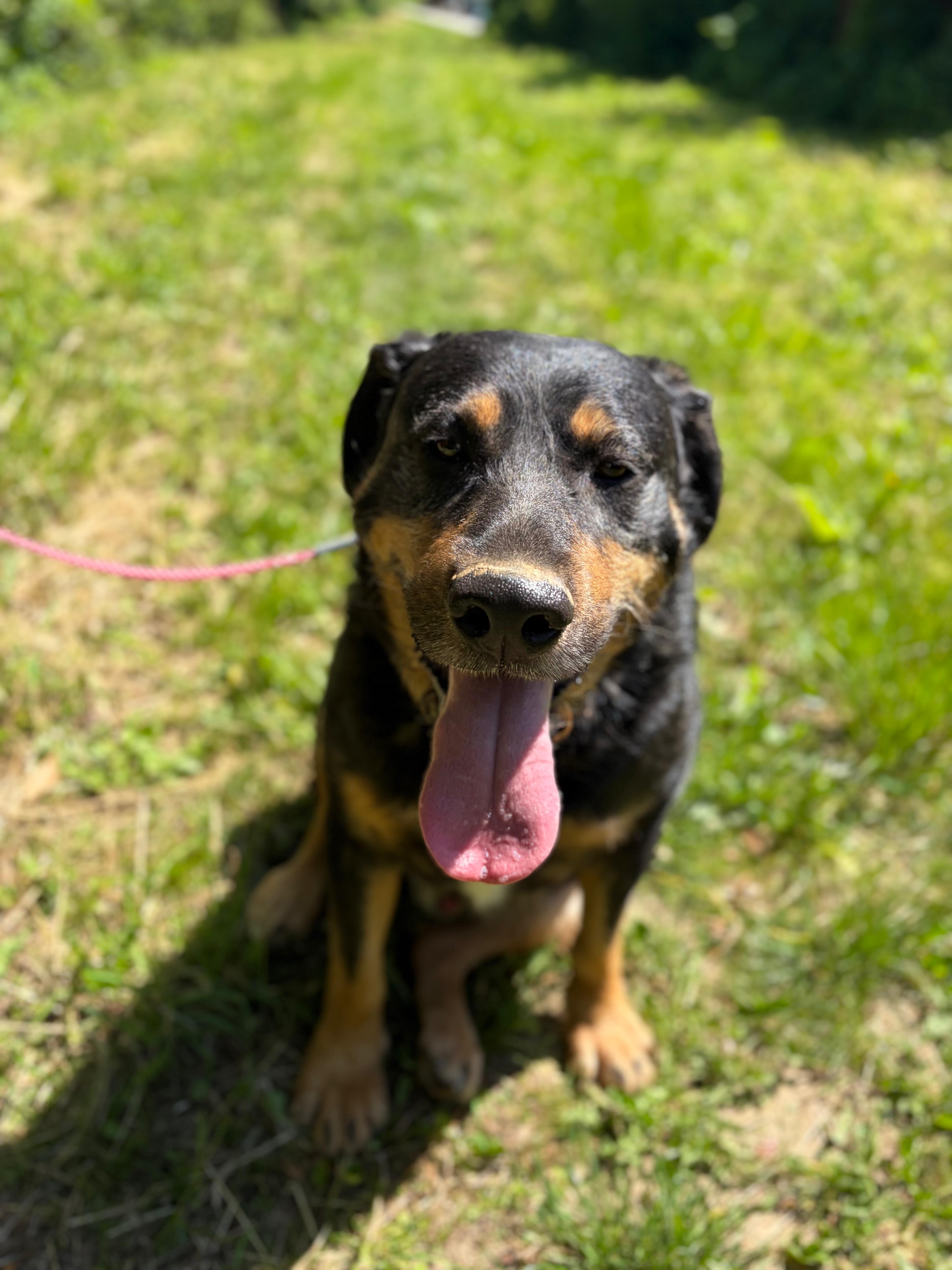 Oskar