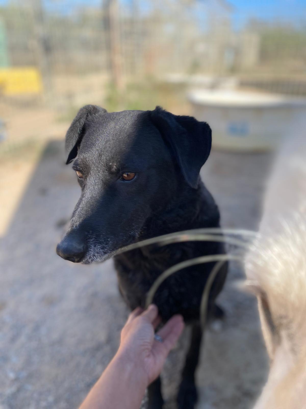 Zoe