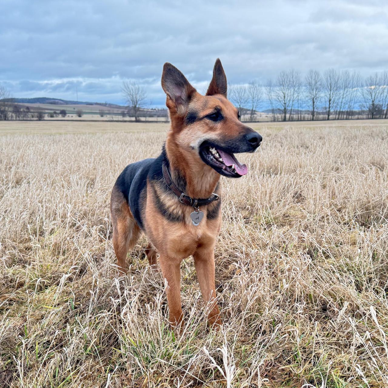 Gwen🐾wartet in 99326