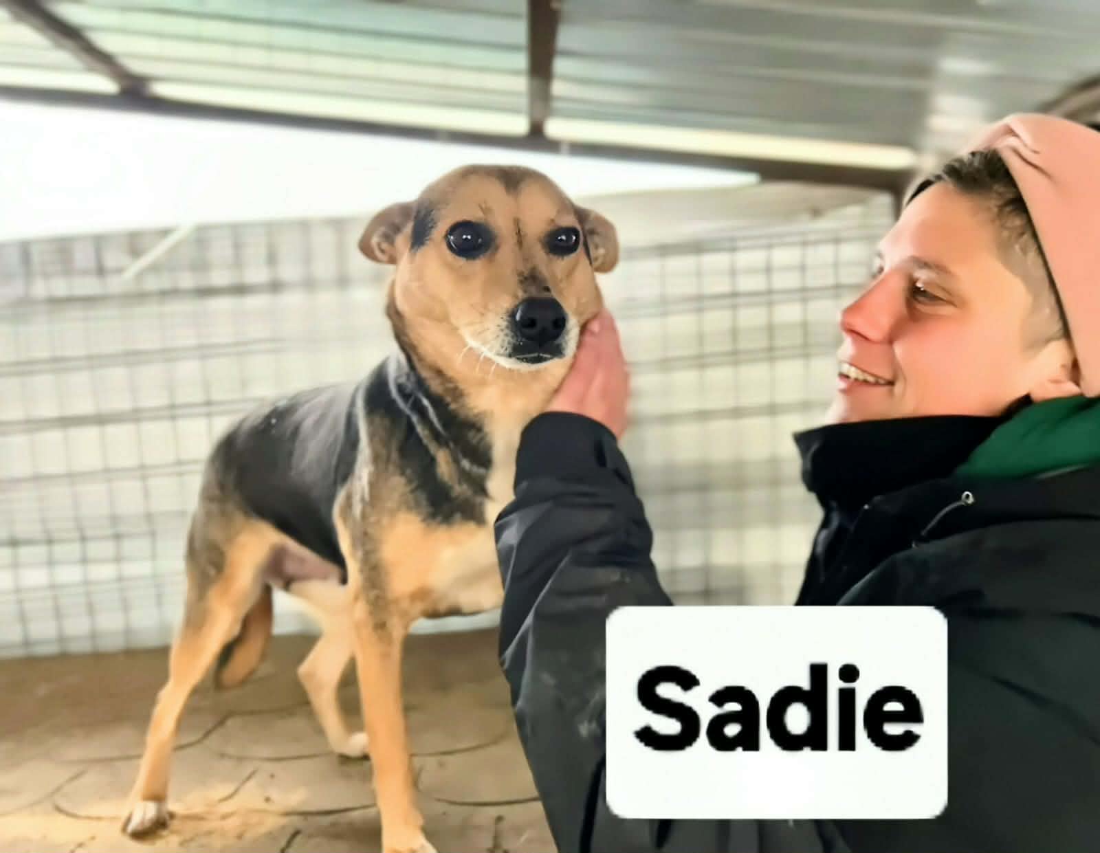 Sadie🐾neugierige Entdeckerin