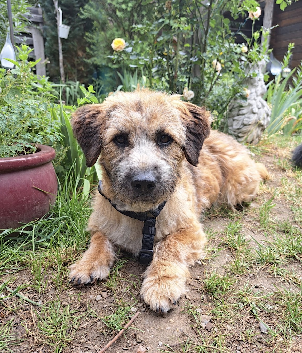 Penny - in 97318 Kitzingen