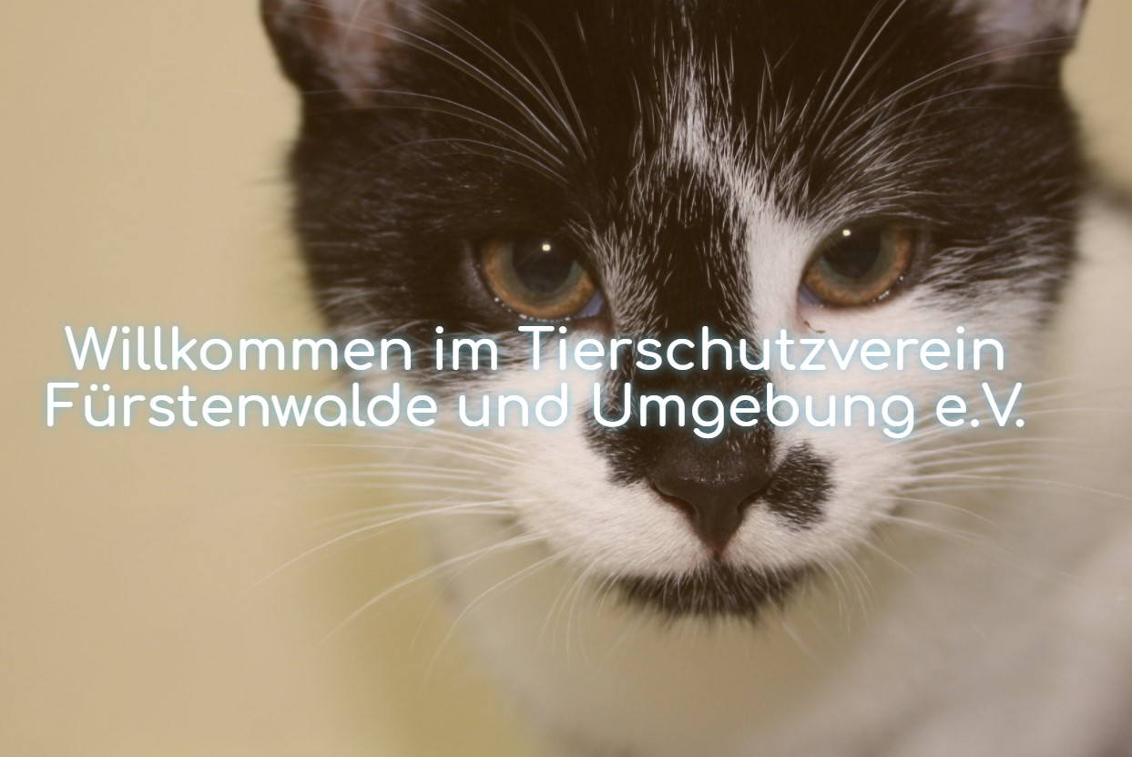 Tierschutzverein Fürstenwalde und Umgebung e.V.