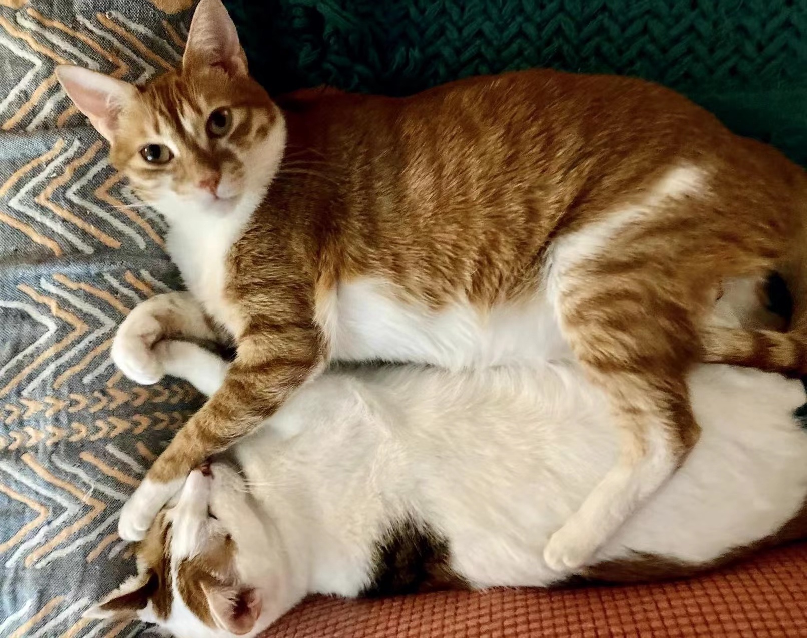 Petal und Catarina