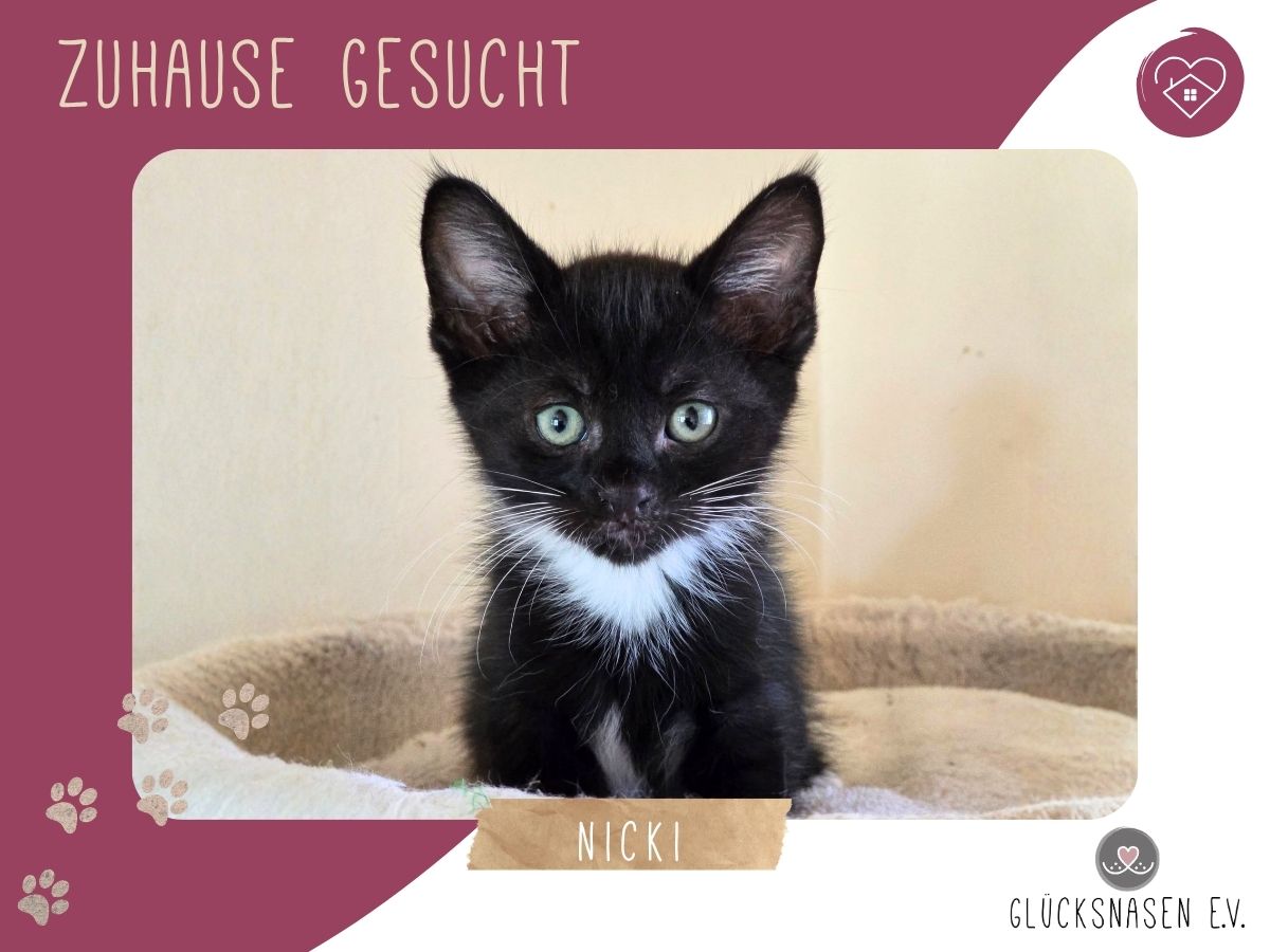 Nicki hofft auf Post