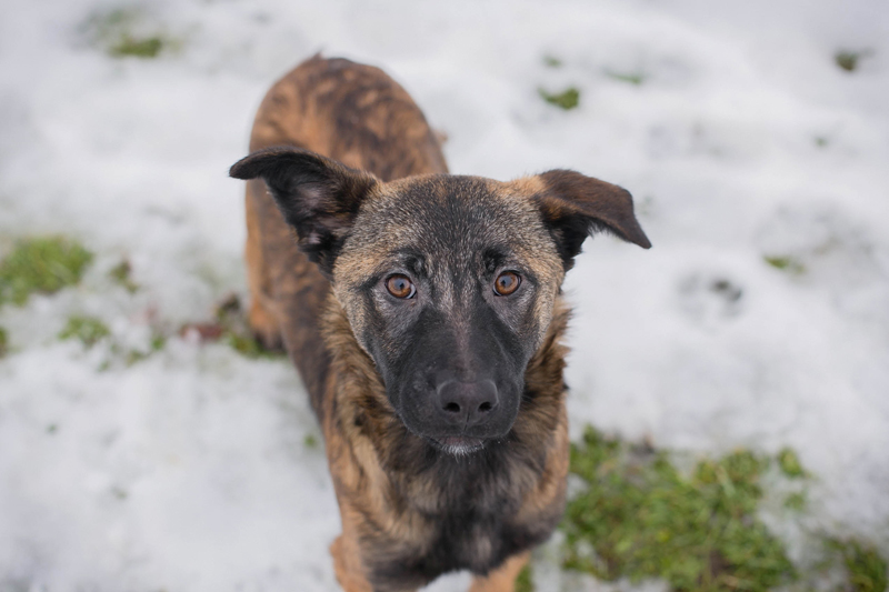 Tasha