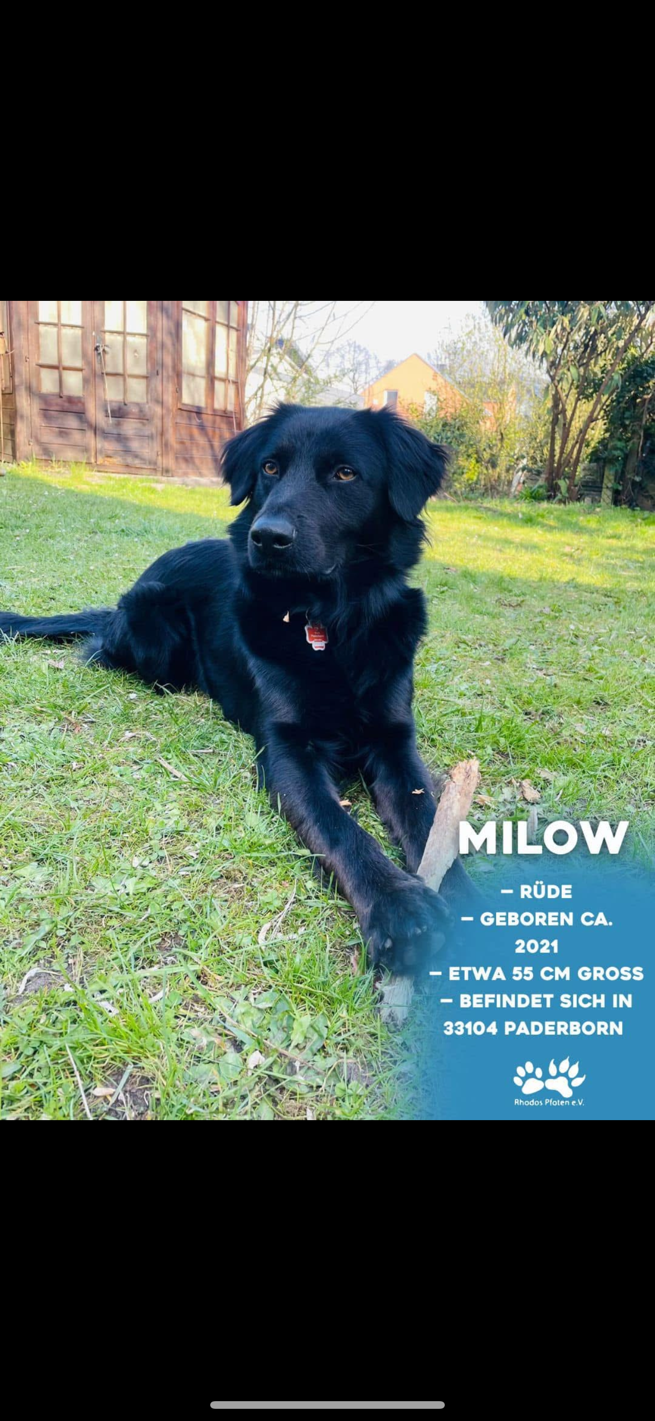 Milow