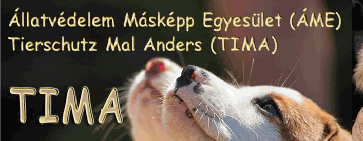 Tima Tierschutz