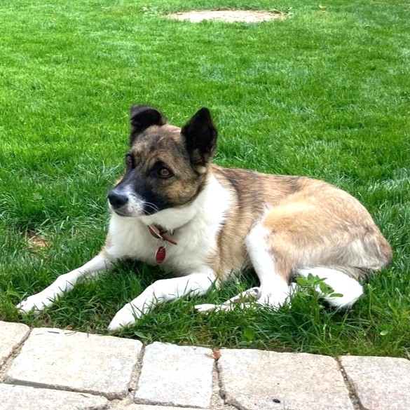 Tina