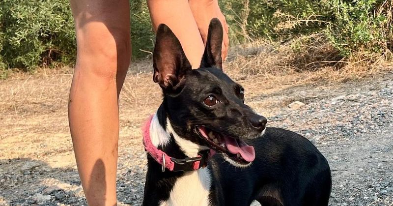 NORA
