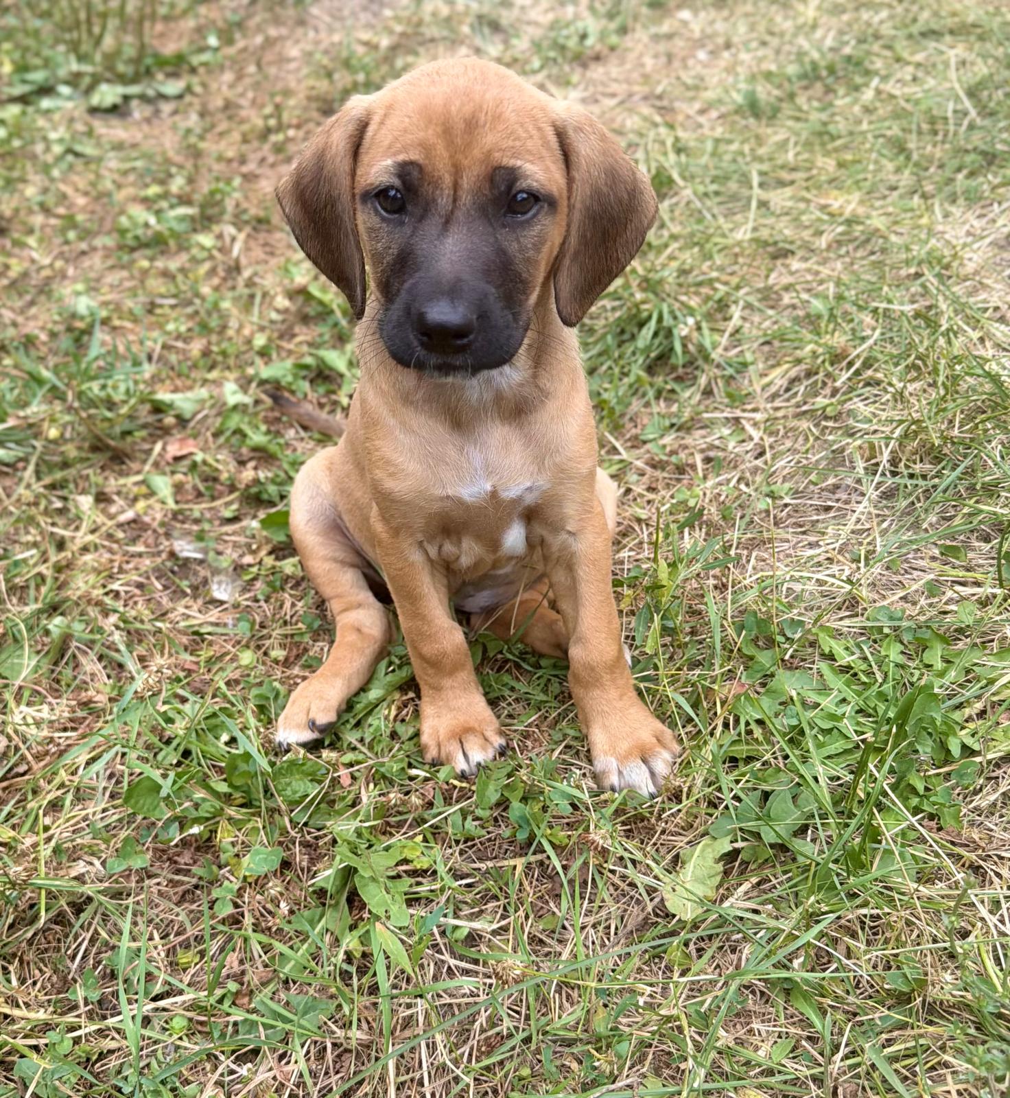 Molly