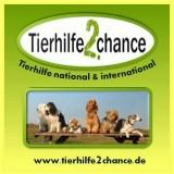 Tierhilfe - die 2. Chance e.V.