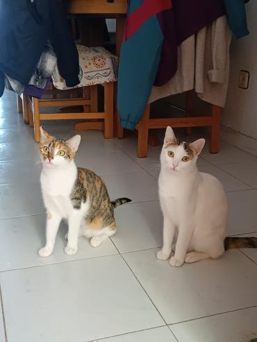 Emmi und Ellie