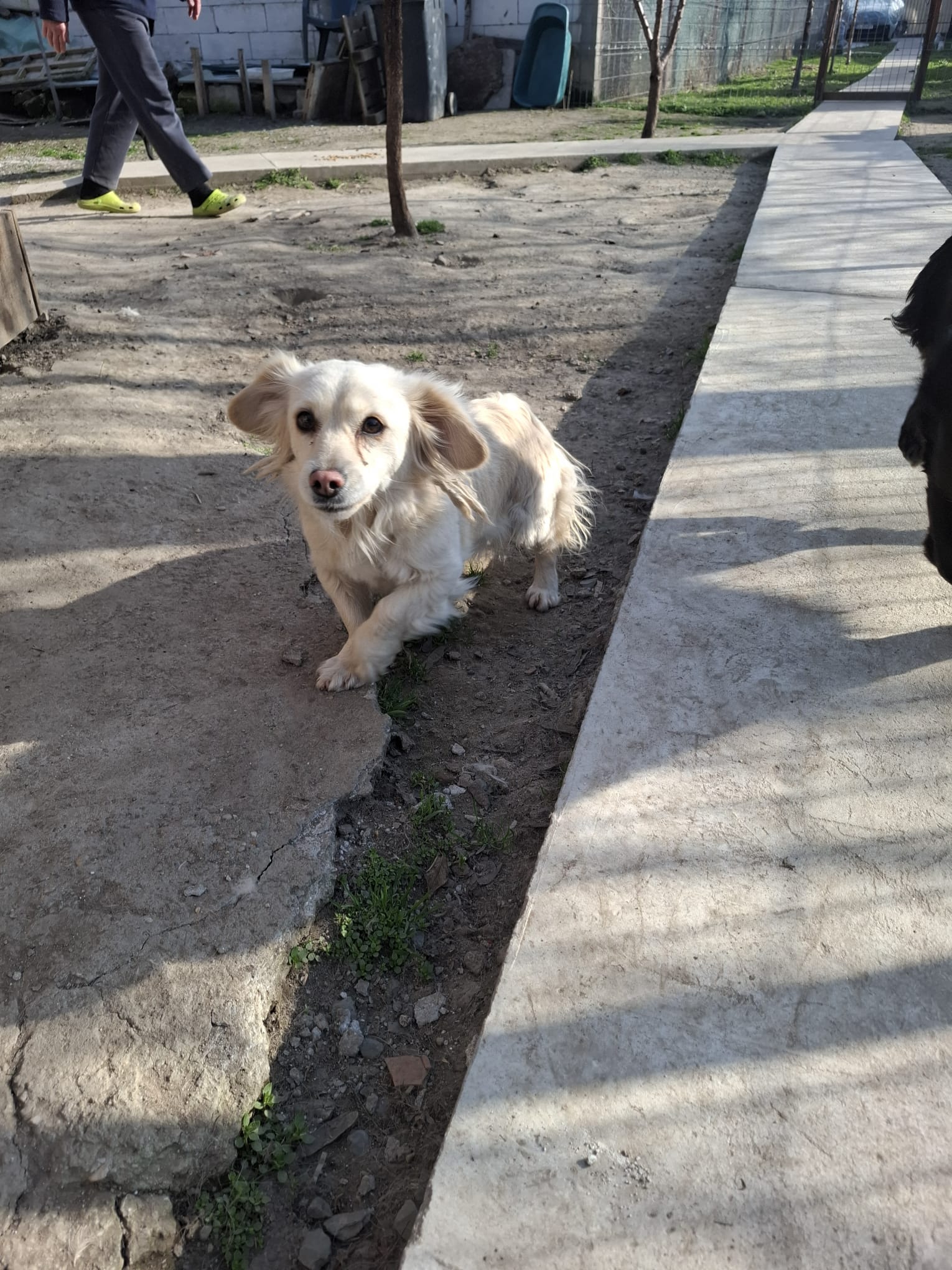 Cocutza 🐾🐕