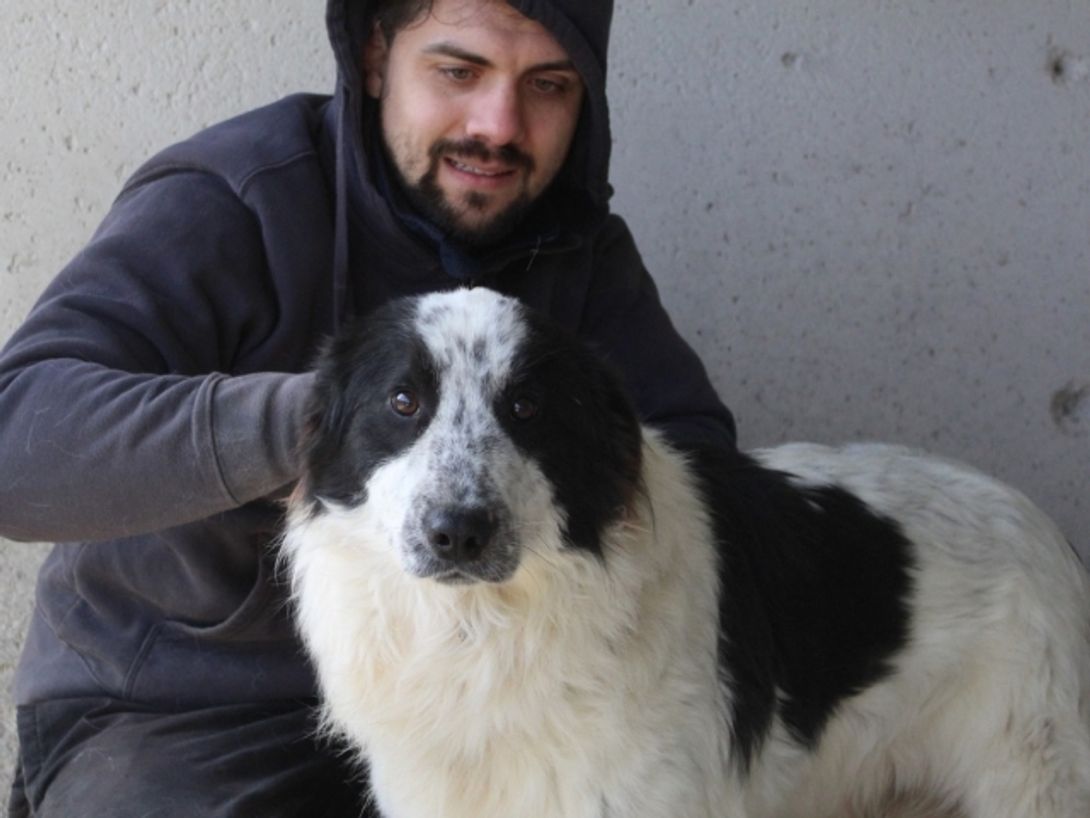 Bramion