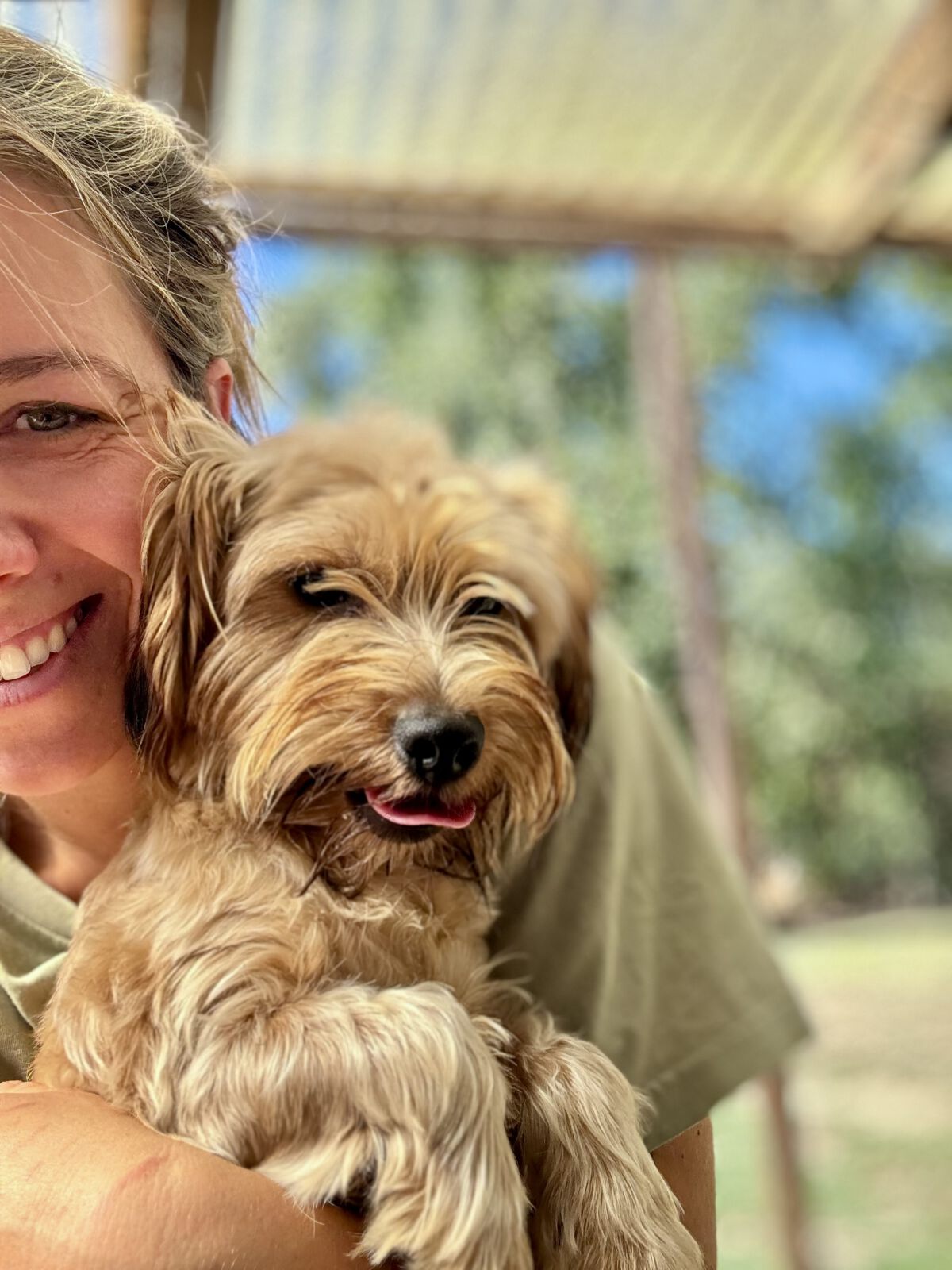 Keks, Yorkiemix