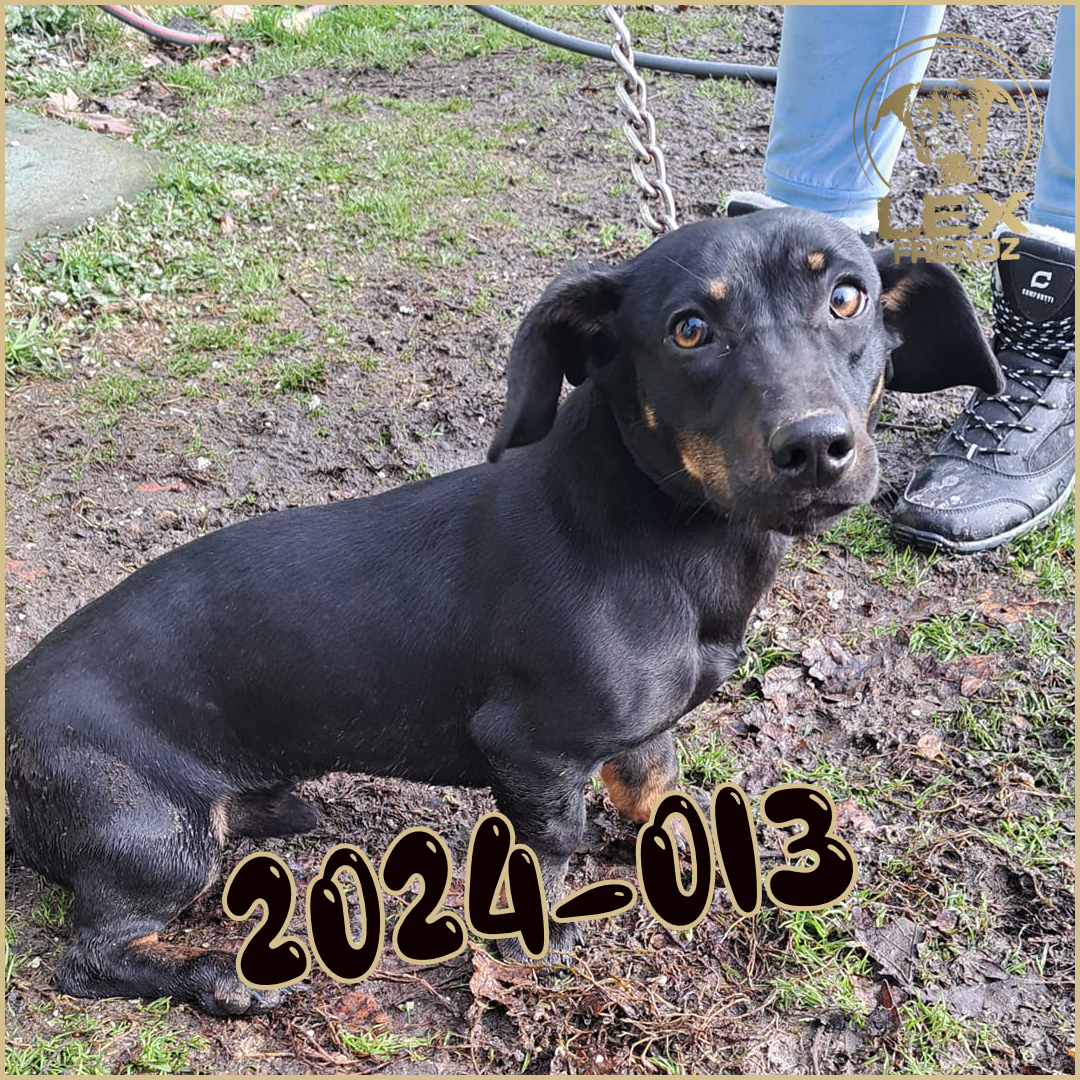 2024-013