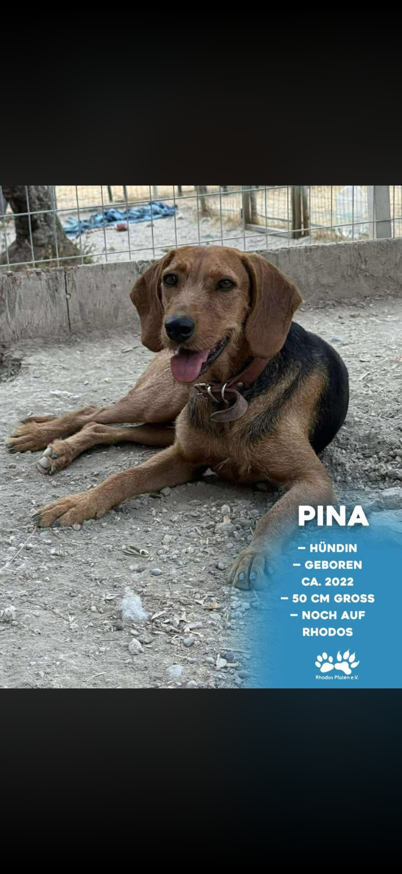 Pina