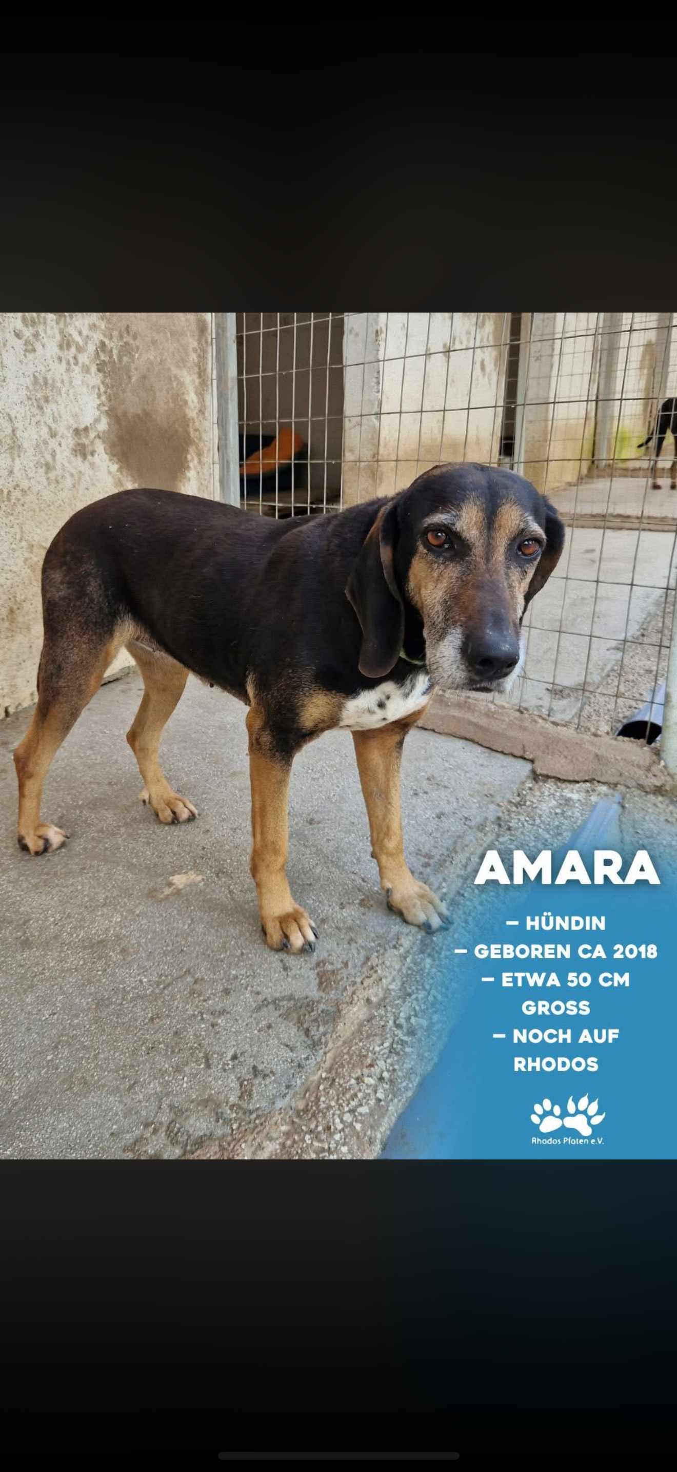 Amara