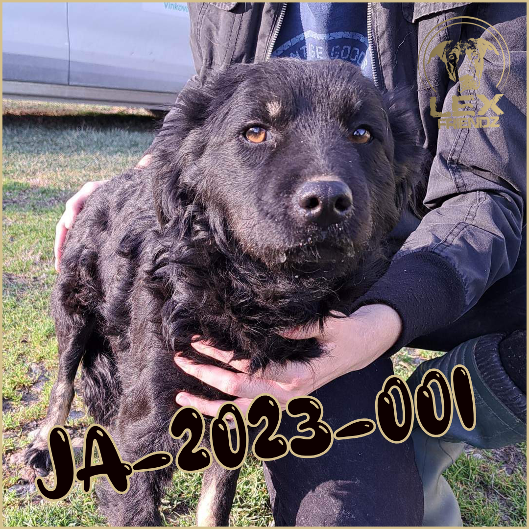 JA-2023-001