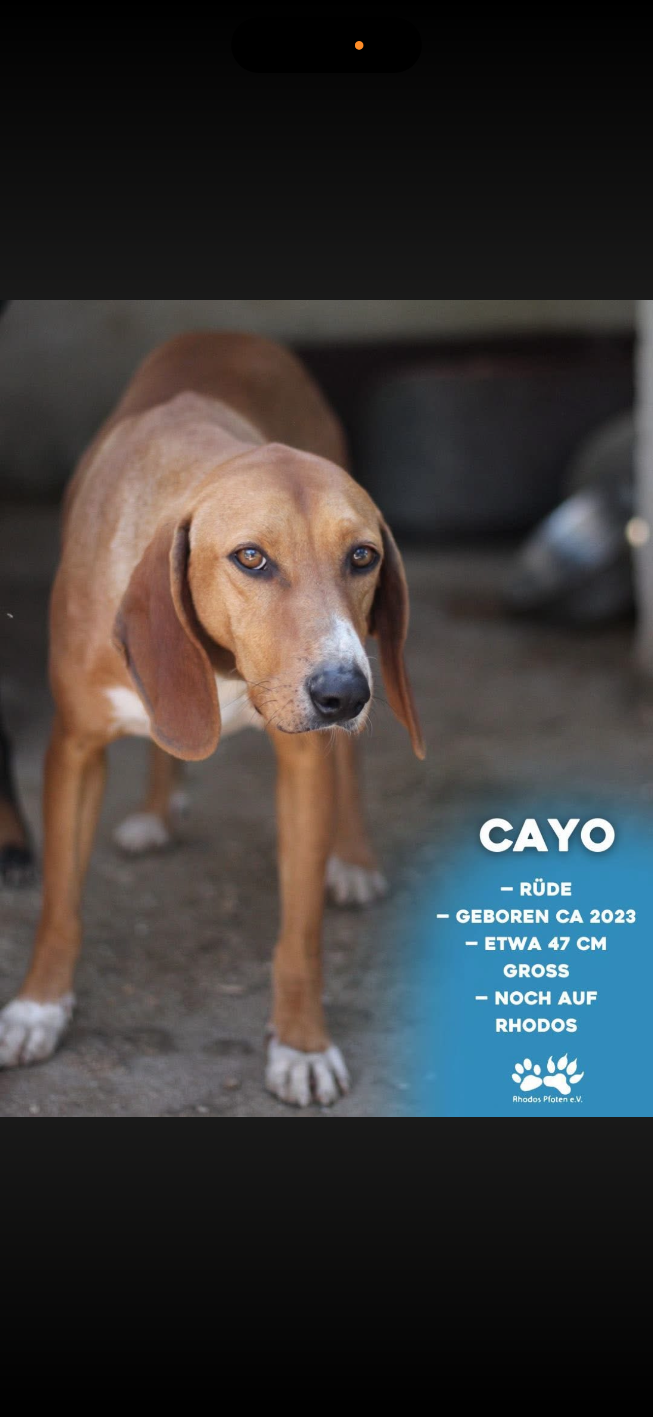 Cayo