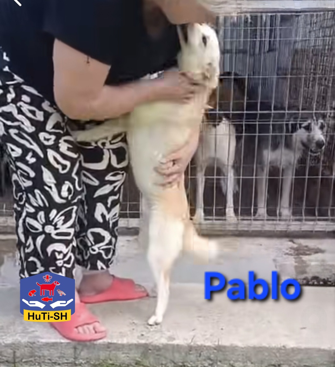 PABLO