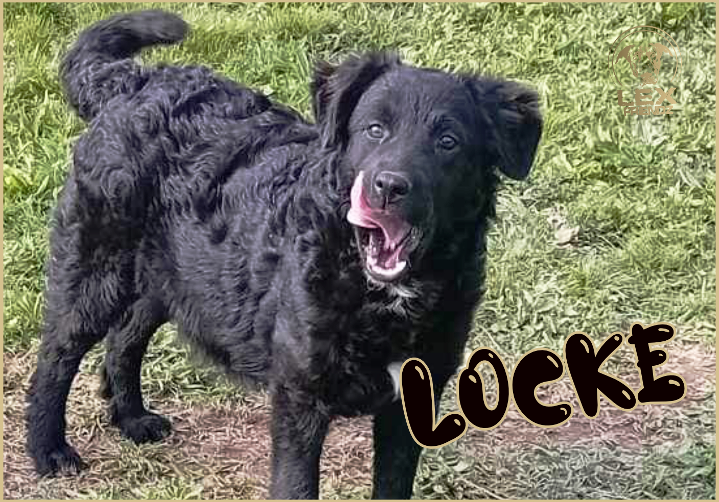 LOCKE