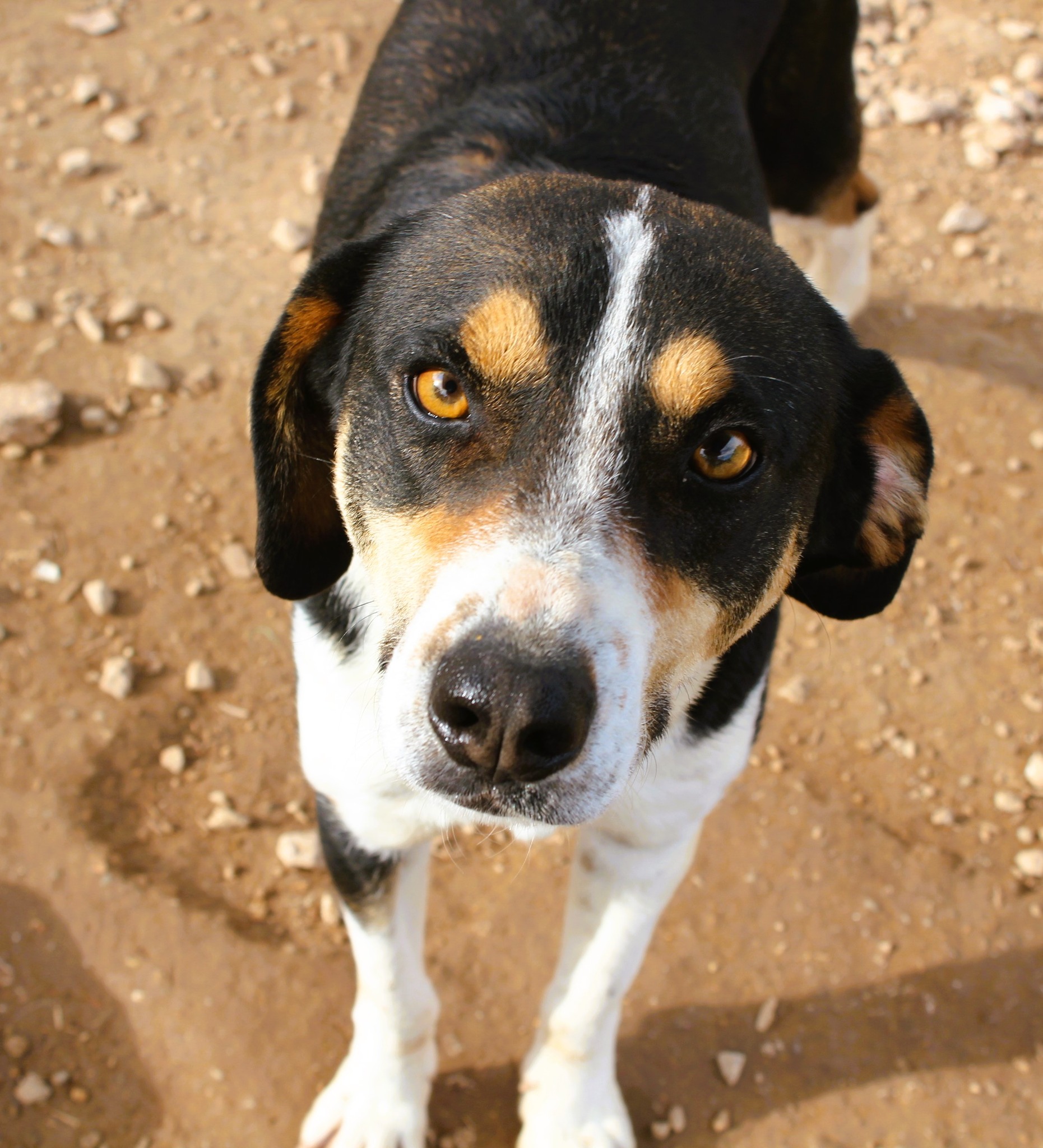 Ralf