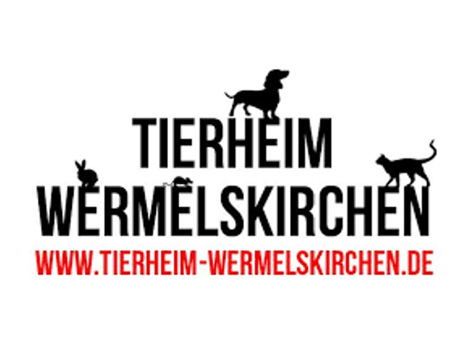 Tierheim & Tierschutzverein Wermelskirchen & Umgebung e.V.