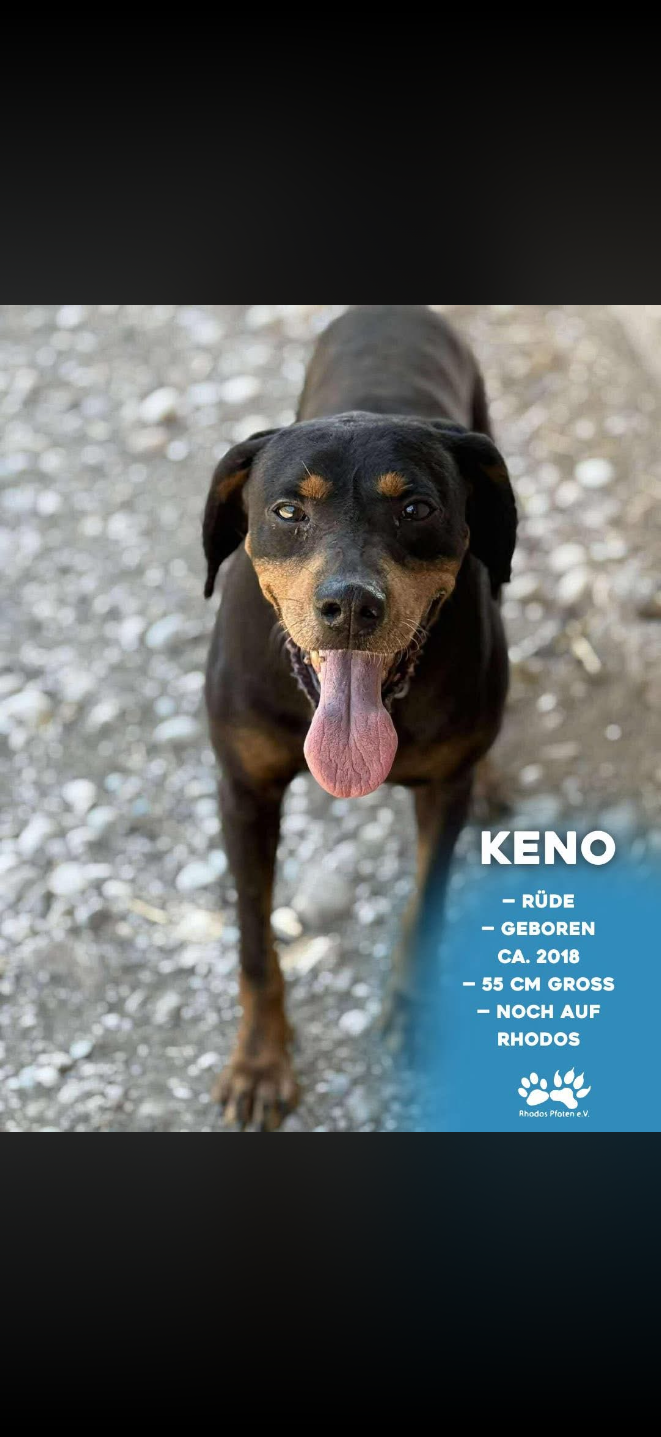 Keno