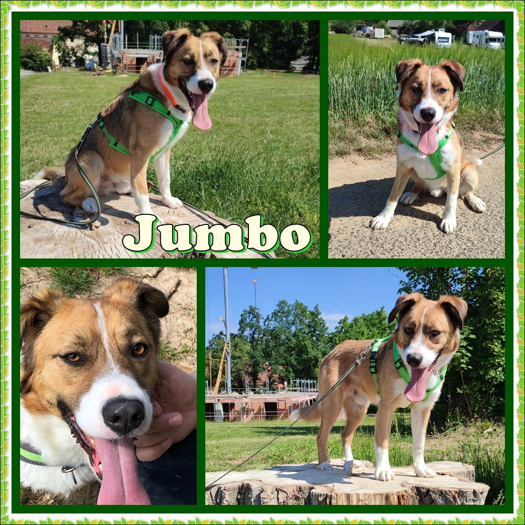 Jumbo