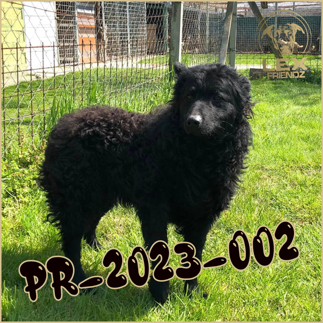 PR-2023-002