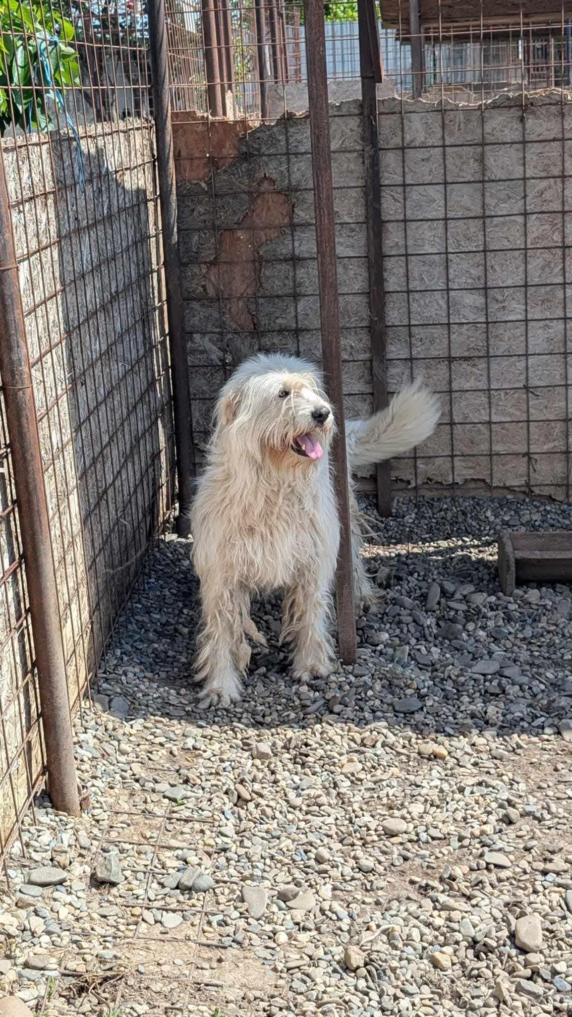 Ben