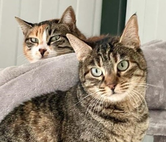 Piti und Pelusa