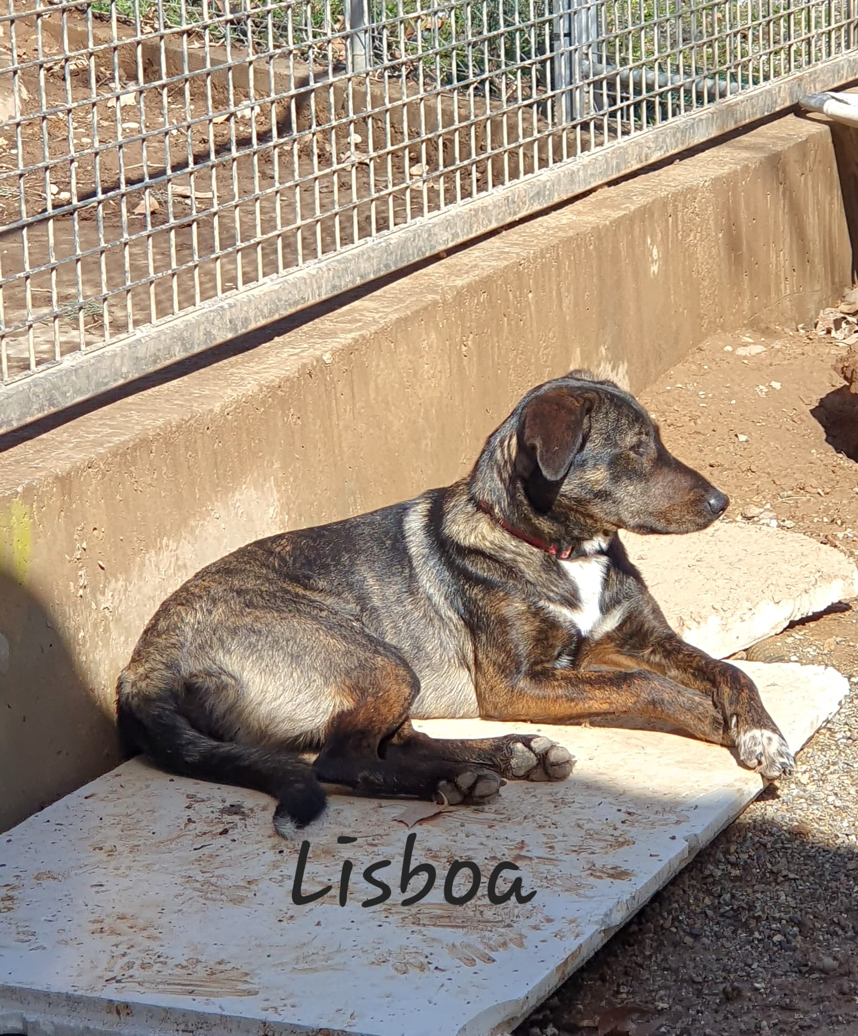 Lisboa